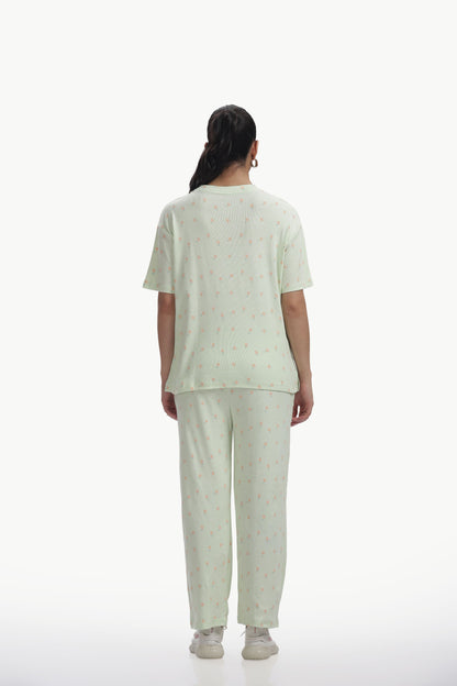Mint Green Printed stretchable Co-ordset